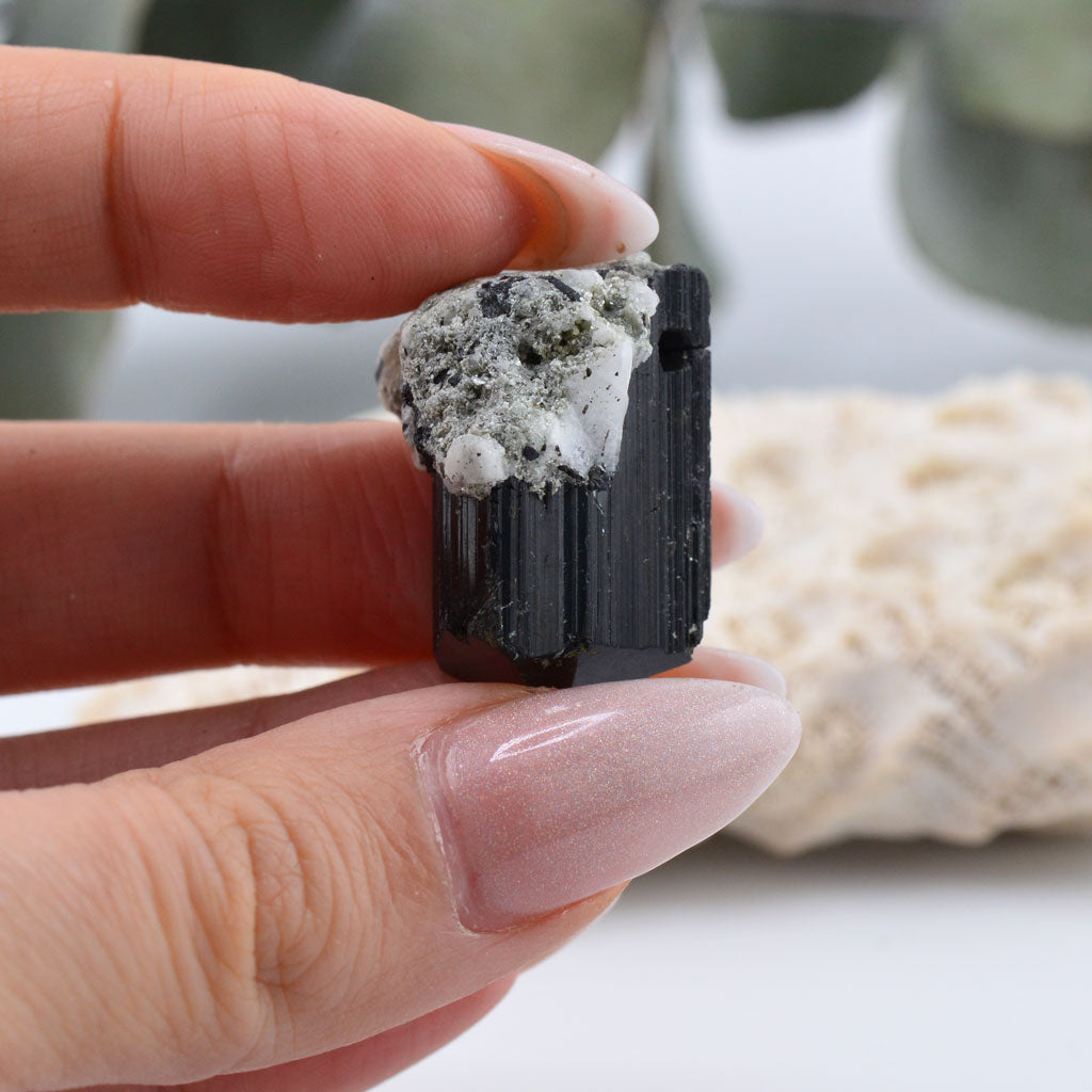 Schwarzer Turmalin Anhänger mit weißem Quarz