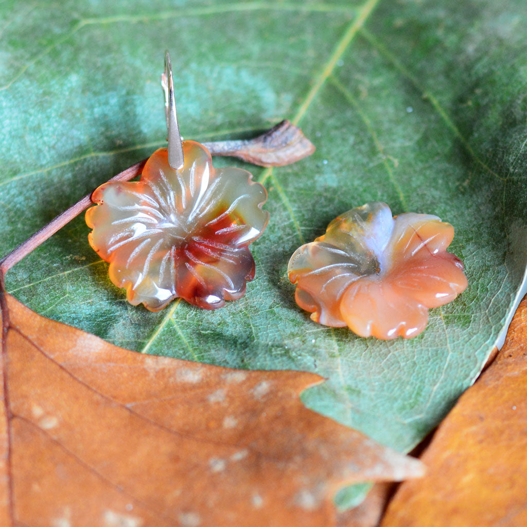 Carneol Anhänger/Ohrring