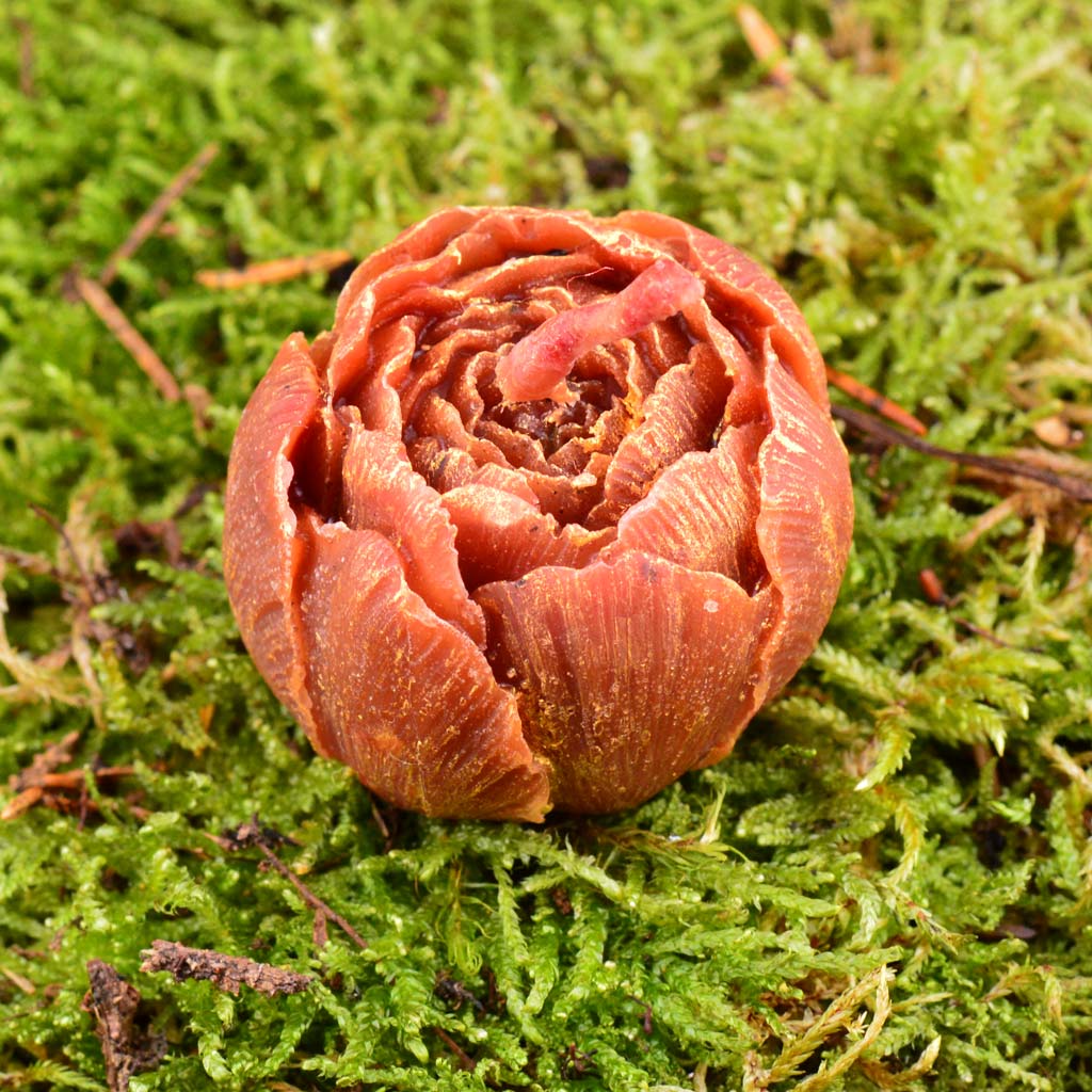 Sweet temptation Erdbeere/ Rose Kerze