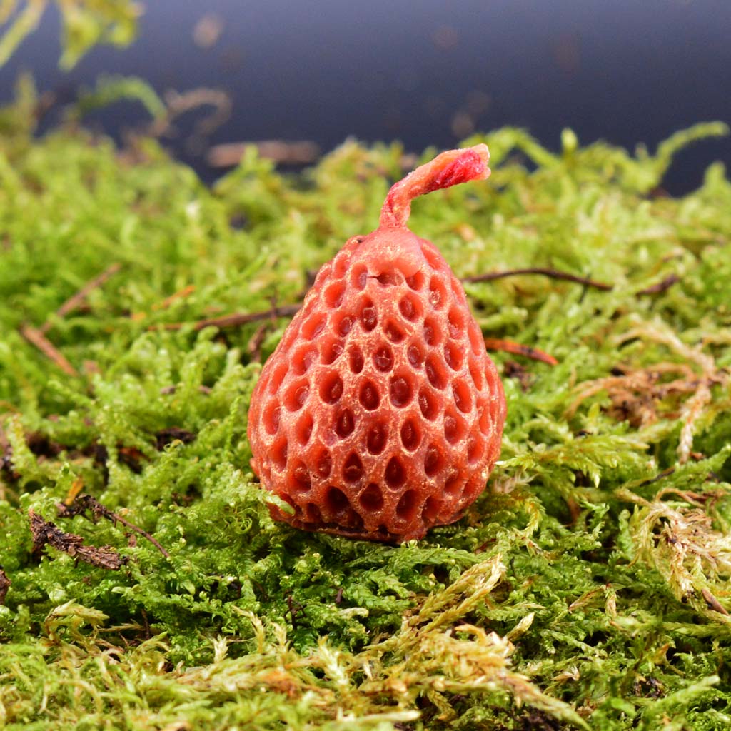 Sweet temptation Erdbeere/ Rose Kerze