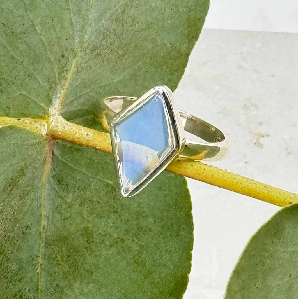 Mondstein Design Juwelier Ringe Sri Lanka Raute