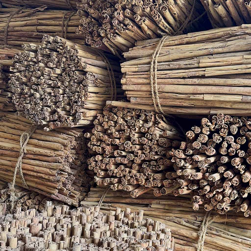 Zimt aus Sri Lanka C4