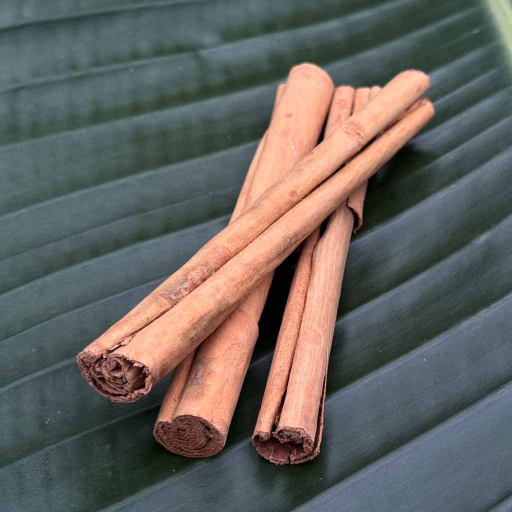 Zimt aus Sri Lanka C4