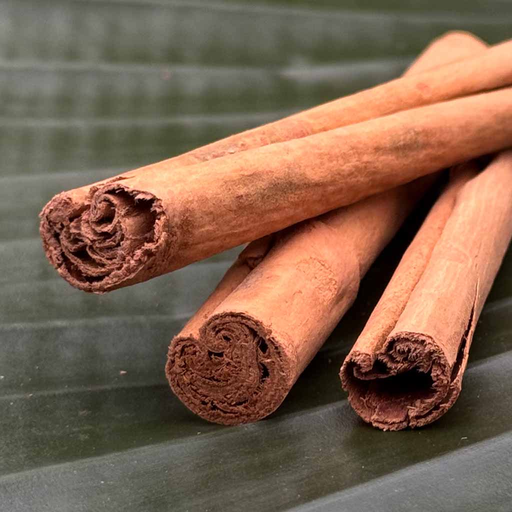 Zimt aus Sri Lanka C4