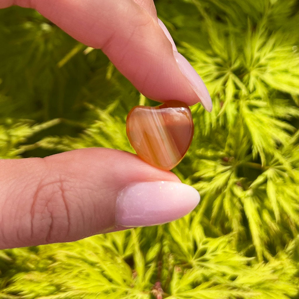 Carneol Herz Anhänger