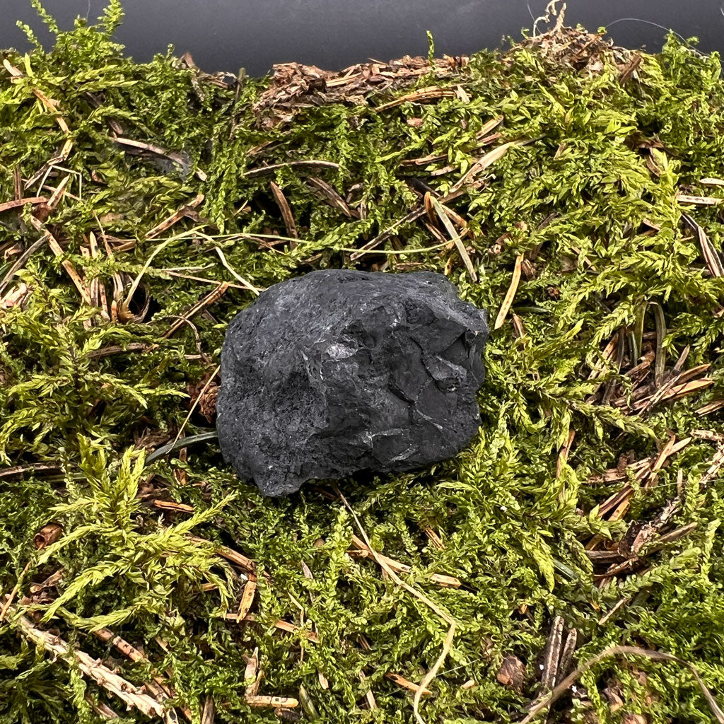 Shungit Stein natur
