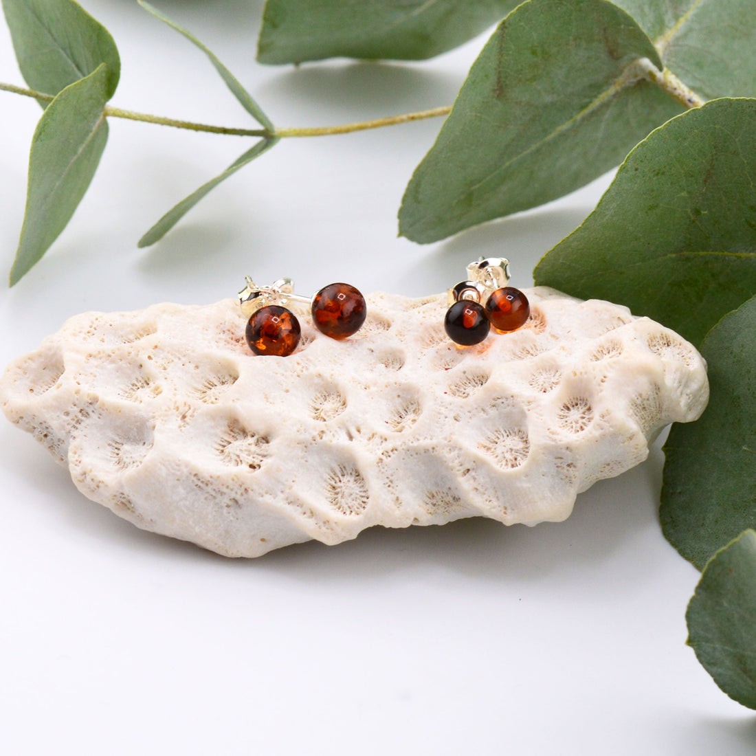 Bernstein Ohrstecker