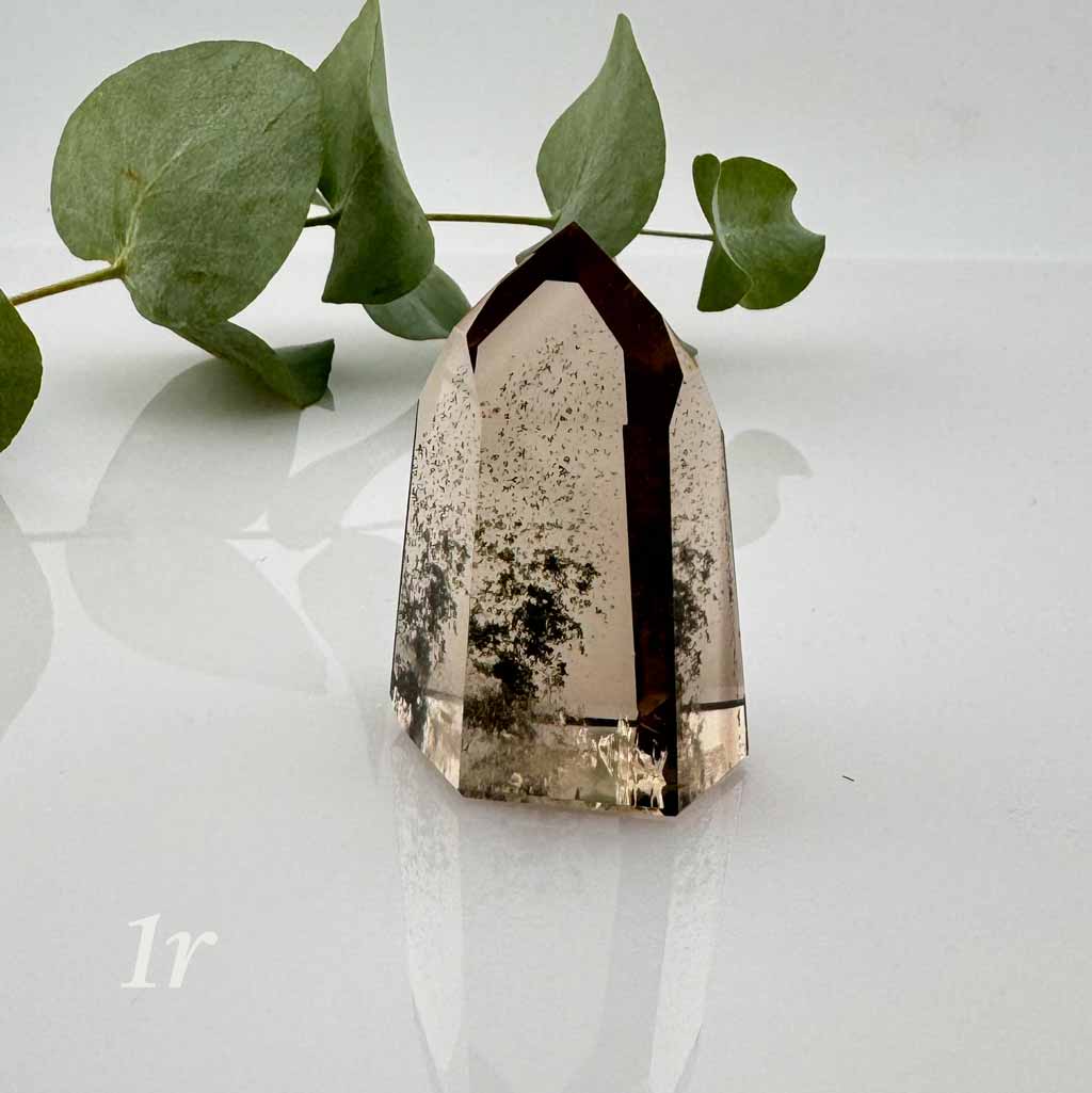 Rauchquarz Spitzen Energie Raumschutz