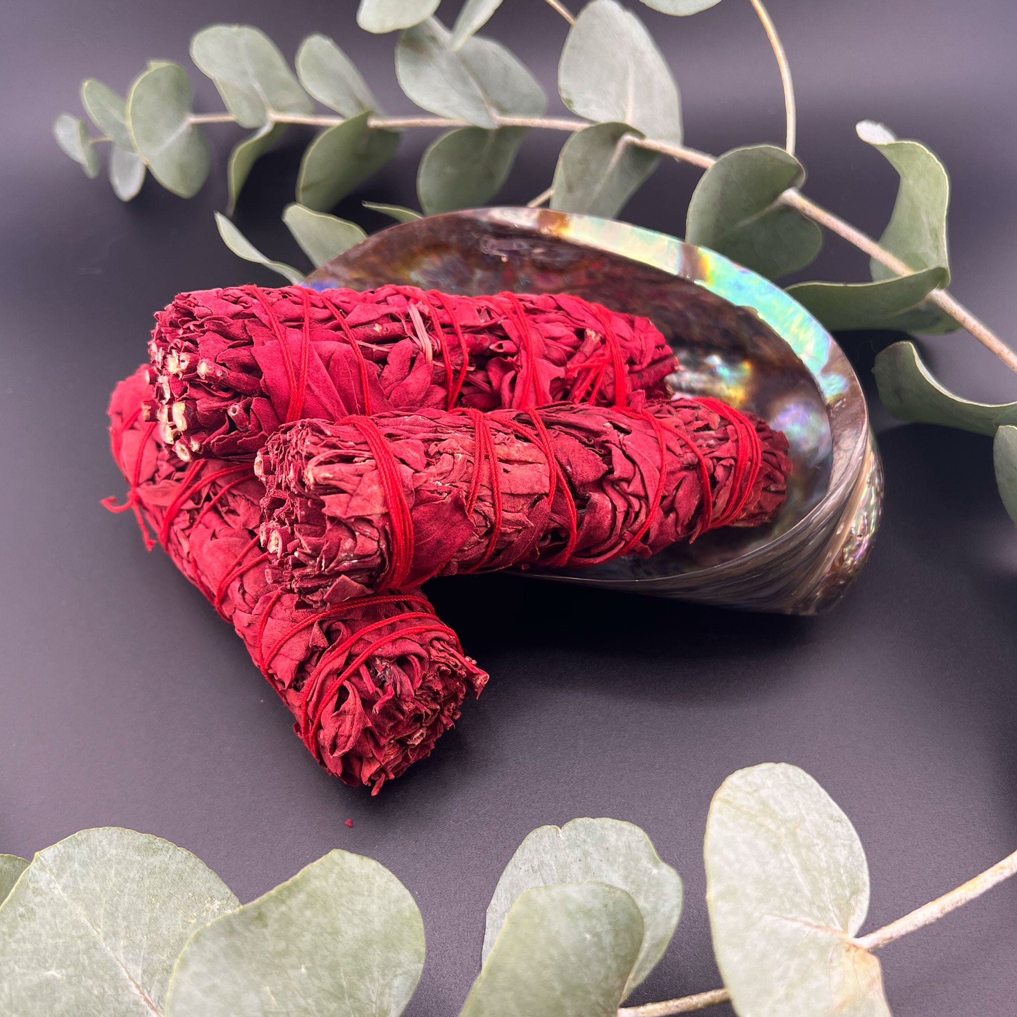 Weißer Salbei x Drachenblut