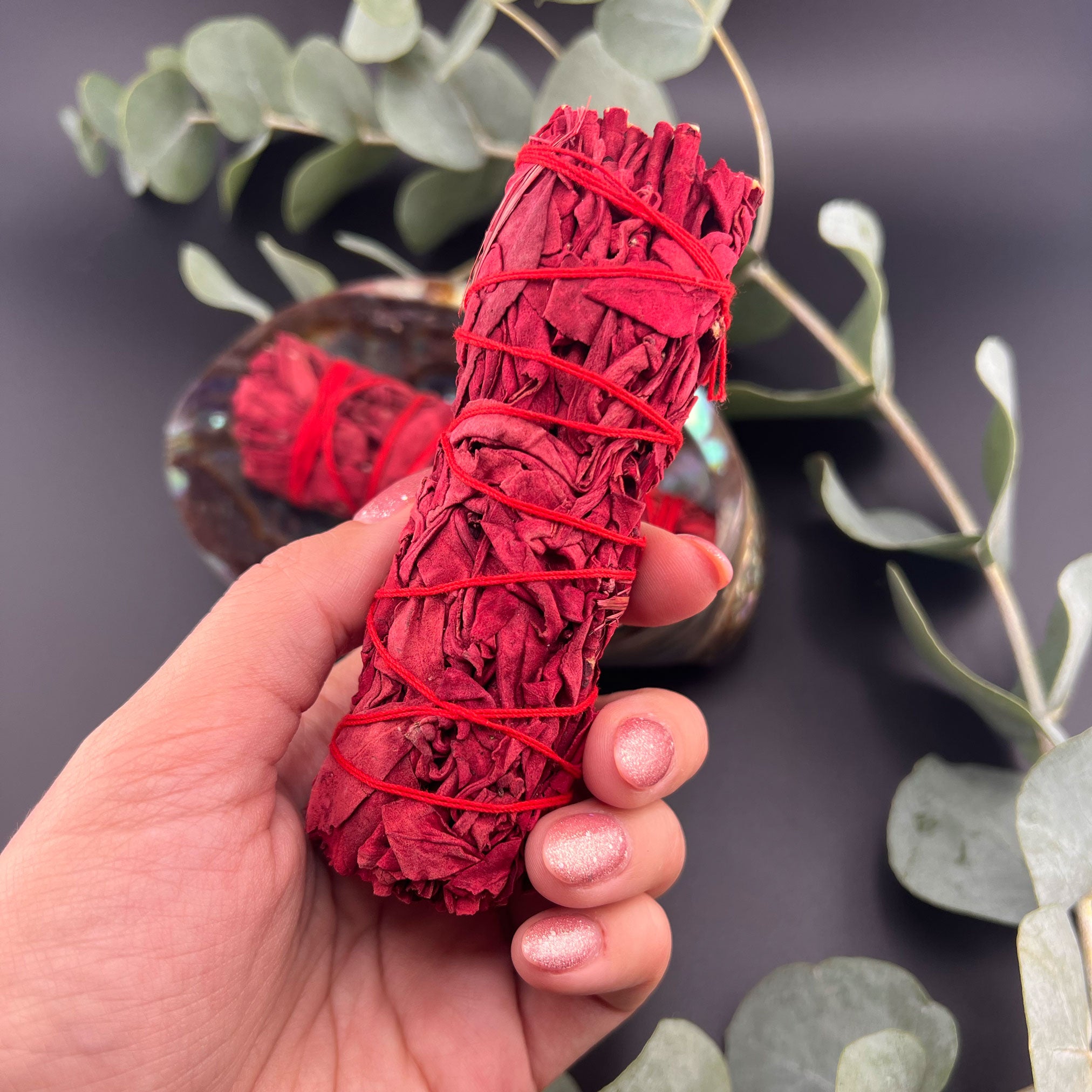 Weißer Salbei x Drachenblut