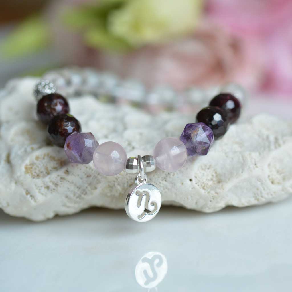 Sternzeichen Steinbock