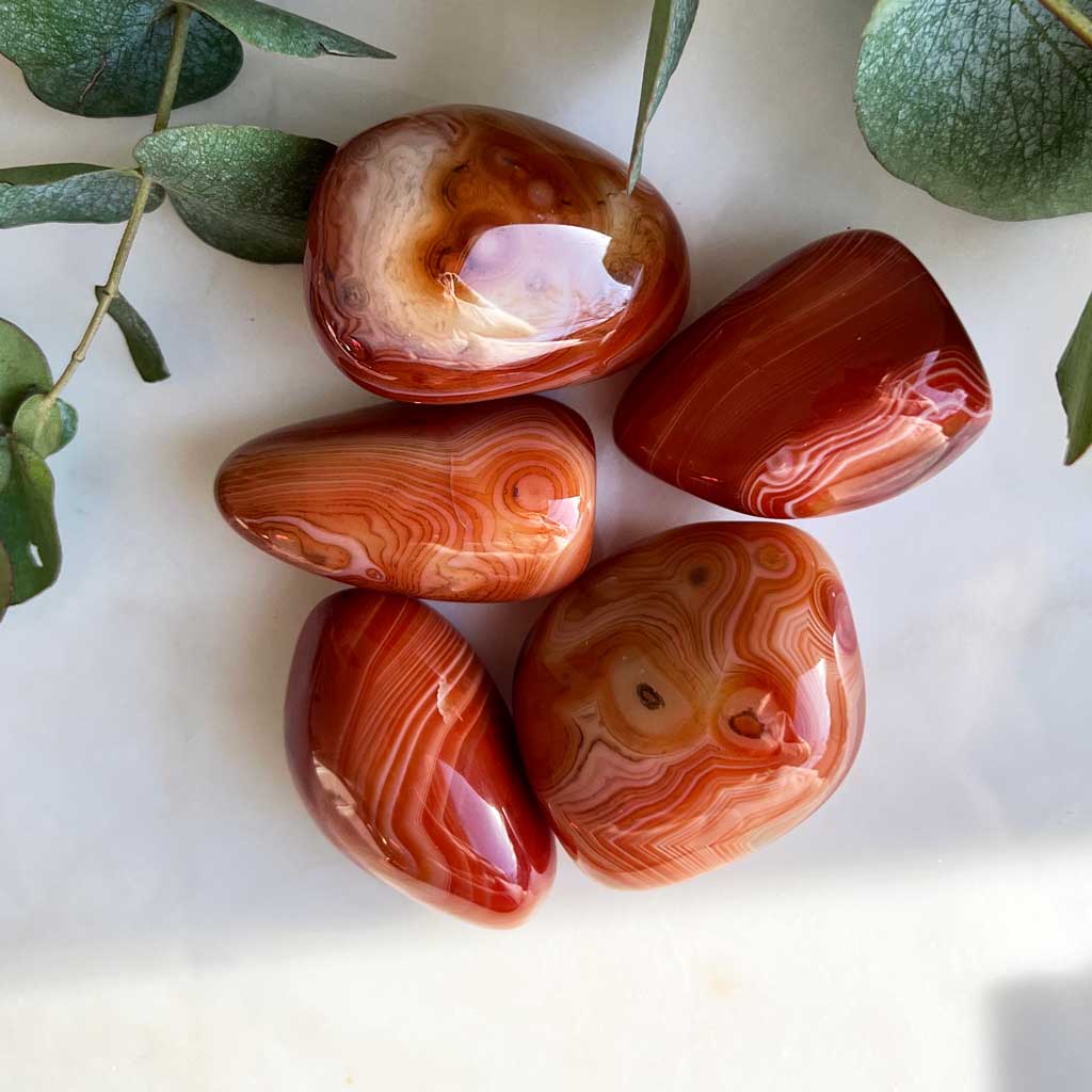 Carneol Trommelstein extra