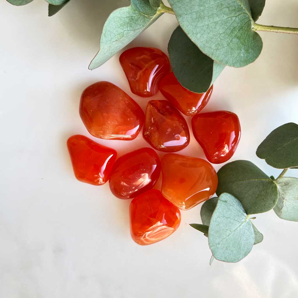 Carneol Trommelstein