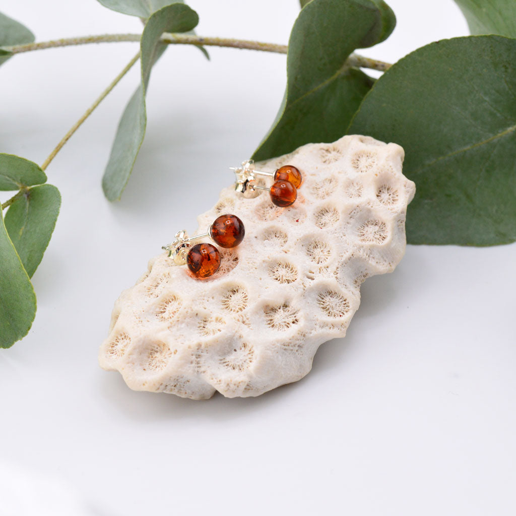 Bernstein Ohrstecker