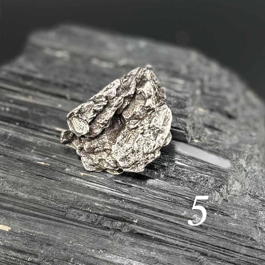 Meteorit Stück Aletai